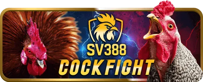 Đặc quyền VIP cmd368 chính thức